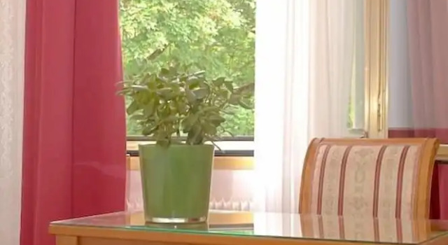 Номер Standard Hotel An Der Wien