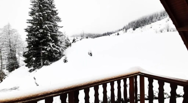 Коттедж ⁂⁂ GITE LE PRES AU CERF [CLEDICIHOME] 2 steps from the LISPACH resort // PRIVATE toboggan run! SNOWSHOE DEPARTURE ⁂⁂