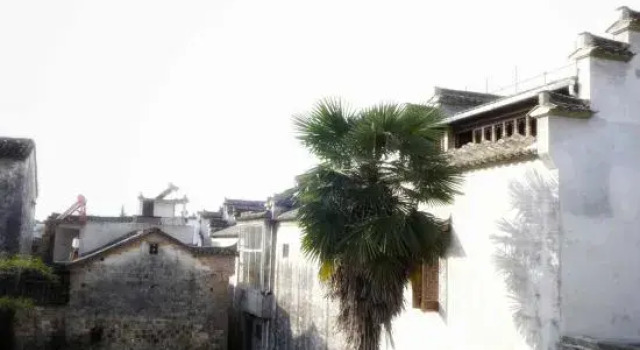 Nanping Banta Mountain House, Prenota Hotel Huangshan 