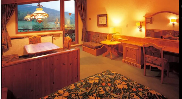 Двухместный номер Standard Hotel Grand Phenix Okushiga