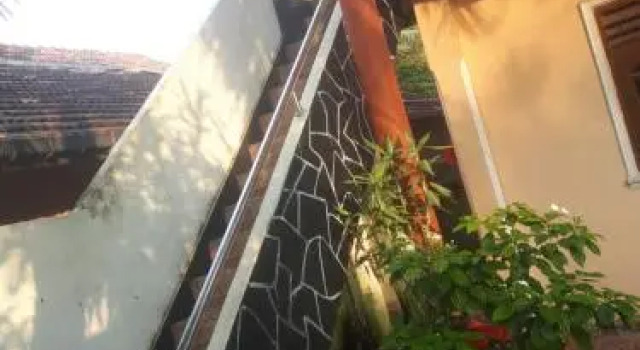 Gaya Surf Spot