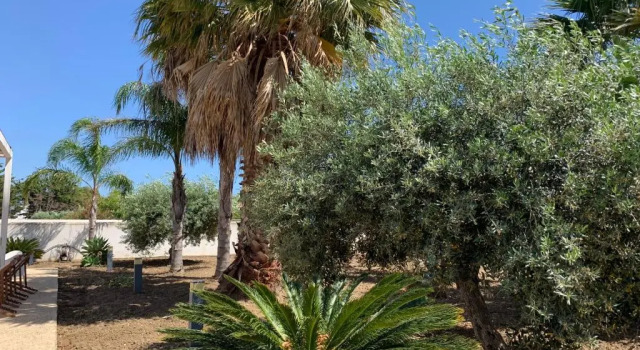 Villa Le Dune - Cicas