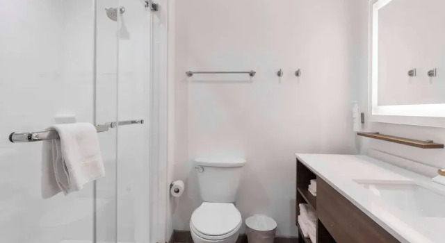 Люкс c 1 комнатой Home2 Suites By Hilton Lake Jackson
