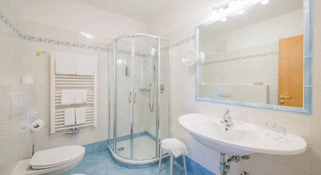 Номер Superior Hotel Waldheim