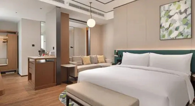 Люкс Hilton Garden Inn Guiyang Gui'An New Area