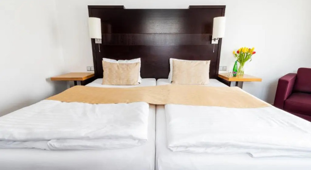 Двухместный номер Comfort Parkhotel Plzen Congress Center