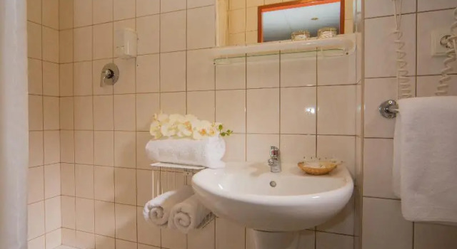 Camera doppia Standard TOP HOTEL Praha