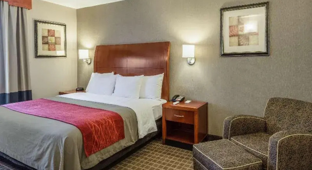 Люкс Comfort Inn & Suites West Springfield