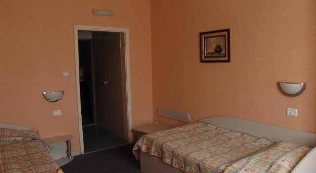 Номер Standard Hotel Zheleznik