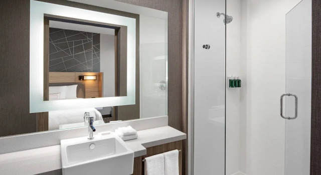 Люкс SpringHill Suites by Marriott St. George Washington