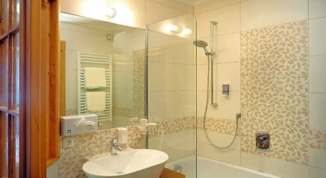 Двухместный номер Standard Aktivhotel Alpendorf