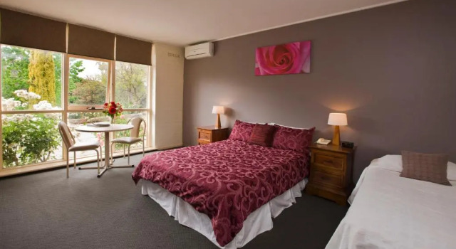 Двухместный номер Standard с видом на сад The Lyndoch Motel