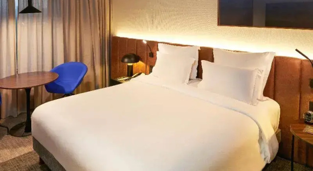 Одноместный номер Deluxe Pullman Sao Paulo Ibirapuera