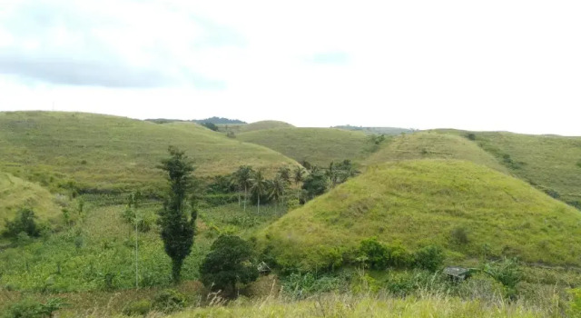 Dungkap Mount View bungalows
