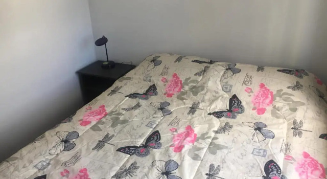 Студия с красивым видом из окна Departamento Centro Osorno
