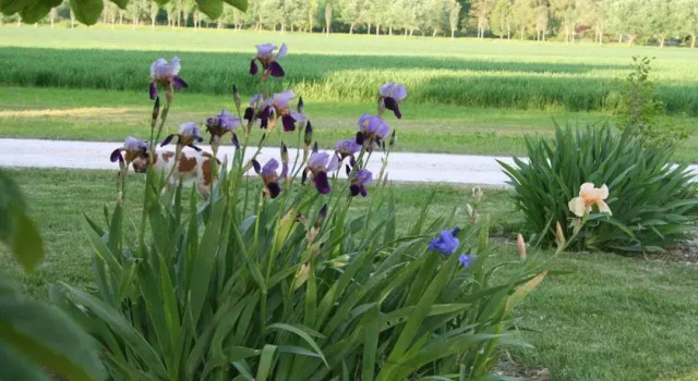 Le Domaine du Lac, Buchen Sie Ferienwohnung Saint-Nicolas-de-la-Grave 