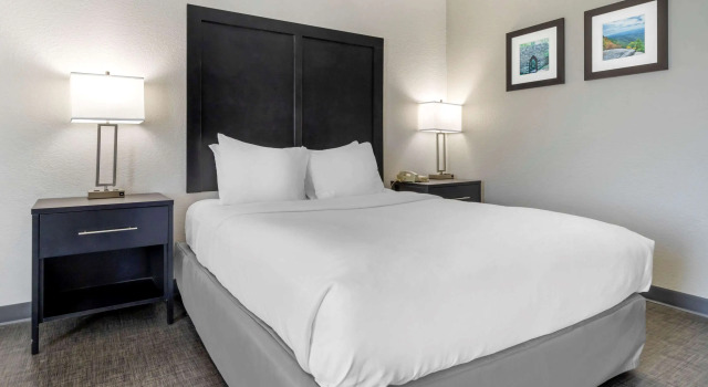 Двухместный номер Standard Comfort Inn & Suites Greer - Greenville