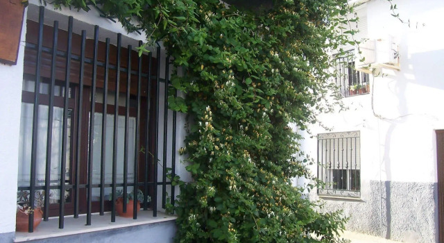 Casa Rural Abuela Maxi, Buchen Sie Hotel Riolobos Monfragüe