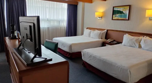 Номер Standard Hotel Metropol