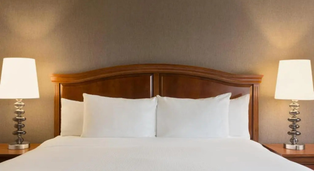 Одноместный люкс DoubleTree by Hilton Hotel Detroit Novi