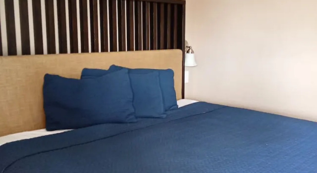 Одноместный номер Deluxe Budget Inn of Sebring