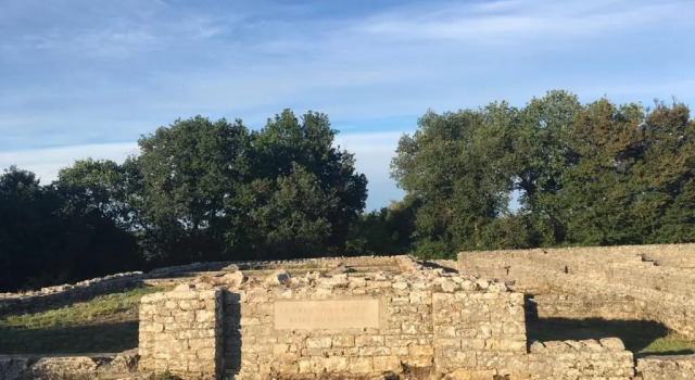 Студия Studio & Apartment The Roots Apartments near Pula, Istria, Croatia