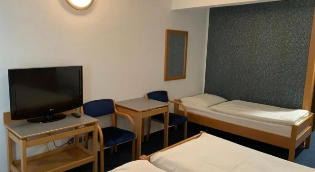 Трёхместный номер Hotel Alp