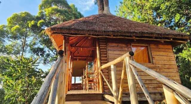 Agandi Uganda Eco-lodges, Prenota Casa vacanze Bwindi Southern Uganda