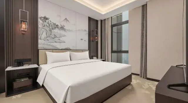 Люкс Deluxe Meishan Hotel