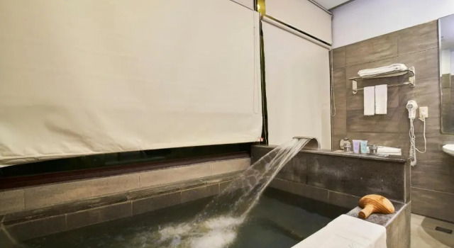 Номер Deluxe A-SAN Hot-Spring Hotel