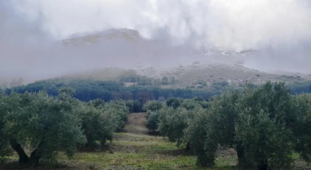 Двухместный номер Standard Alojamiento Rural la Caseria de Piedra Restaurante