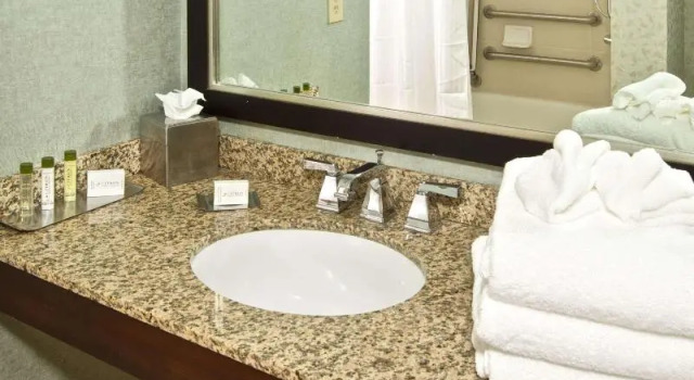 Двухместный полулюкс с балконом DoubleTree Suites by Hilton Raleigh-Durham