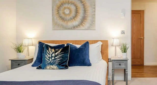 Beautiful Central Windsor Apartment