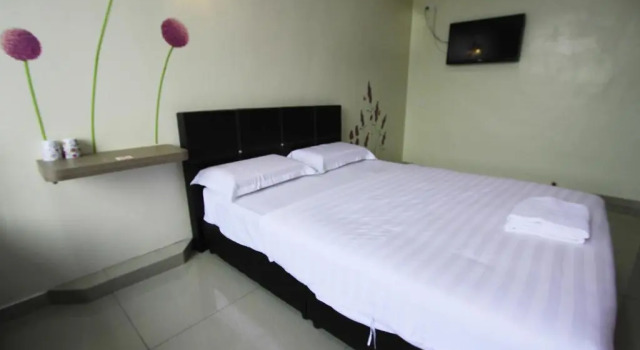 Двухместный номер Economy Max Inn Hotel