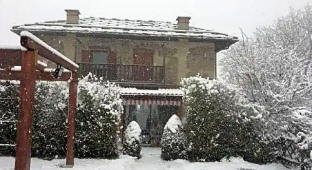 B&B Beauregard