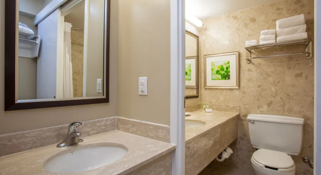 Двухместный номер Standard с красивым видом из окна Holiday Inn Toronto International Airport by IHG