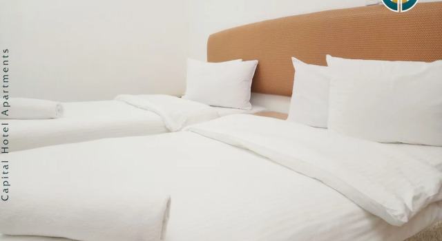 Двухместный номер Economy Capital hotel apartments