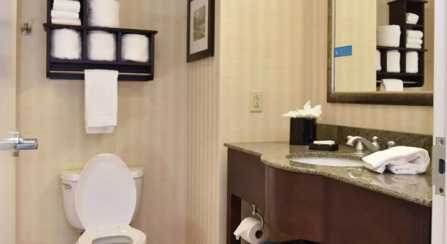 Четырёхместный номер Standard Hampton Inn & Suites Alexandria