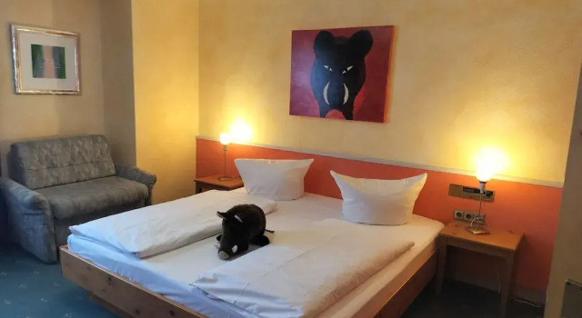 Номер Classic Hotel Hirsch
