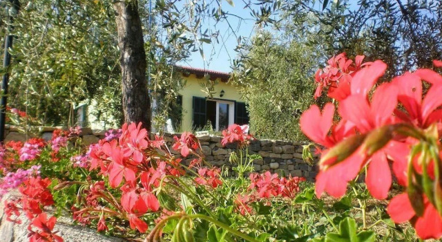 Agriturismo il Grande Ulivo, Забронировать Фермерский дом Санто-Стефано-аль-Мар Ривьера-дей-Фьори