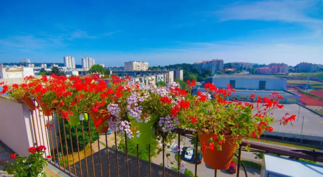 Апартаменты Apartments Katica
