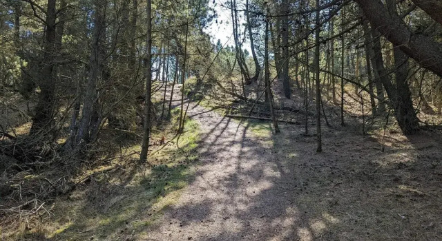 Коттедж 6 Person Holiday Home in Romo