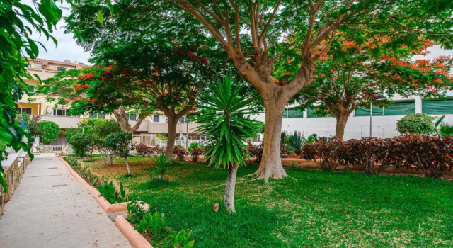YELLOW 3 bedroom large apartment for 10 guests, Prenota Appartamento Hotel a Tenerife con piscina, Piscina