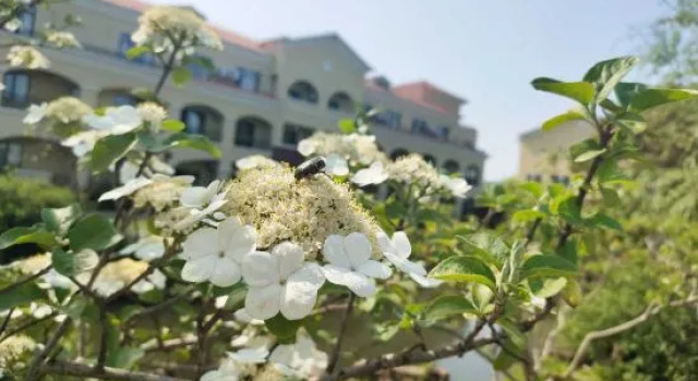 Suzhou Seagull Huxin Island Resort, Reserva ahora Resort Suzhou (Jiangsu) 