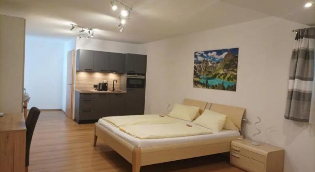 Студия Appartement Fritzenwallner