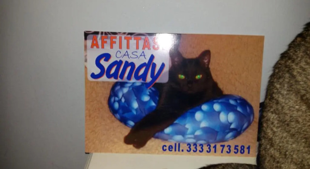 Апартаменты Casa Sandy