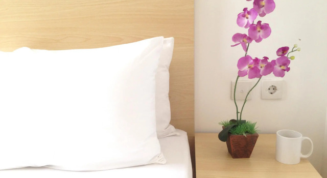 The Orchid Hotel, Réserver Hôtel Ambon Maluku