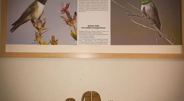 Номер Standard Casa Sutar 1 y 2