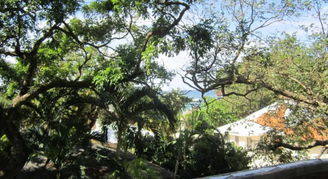 Люкс Coconut Tree West Bay
