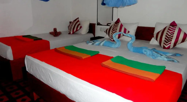 Номер Deluxe Sigiri Neo Homestay